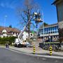 1000 Jahre Rifferswil