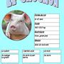 Tierportrait